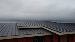 Best Roof Ventilation Installation  in USA